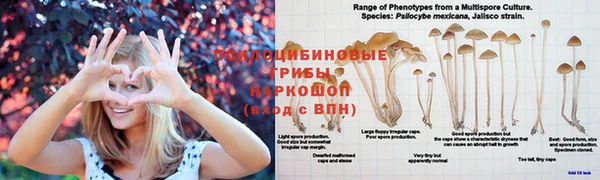 трава Алексеевка