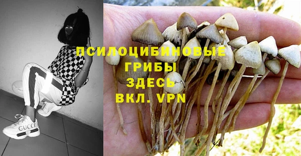таблы Алексин